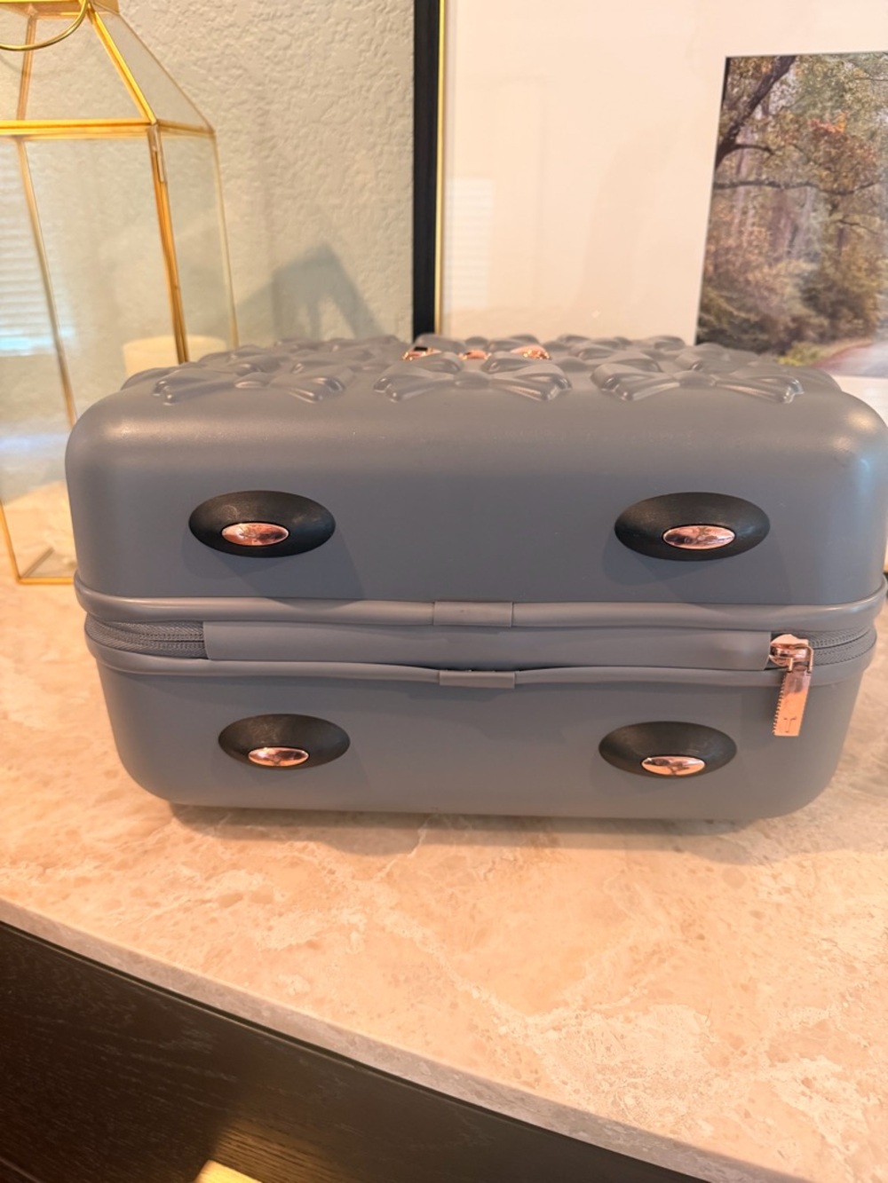 Ted Baker Gray Bow-Embossed Hard Shell Travel Vanity Case with Rose Gold Accent - Picture 5 of 12